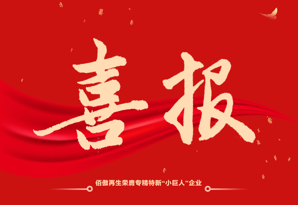 九游(9Game)再生实力荣膺专精特新“小巨人”企业